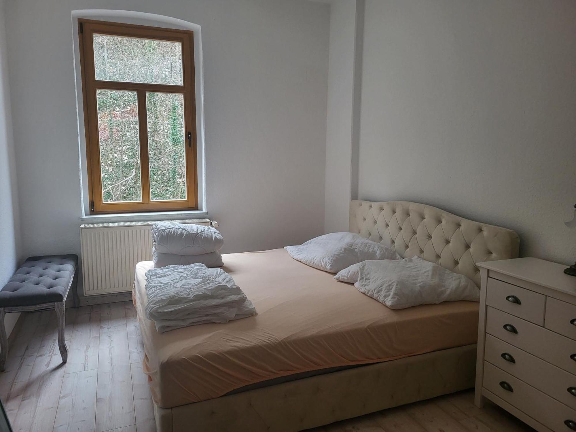 Lilienstein Apartment Konigstein an der Elbe Bagian luar foto